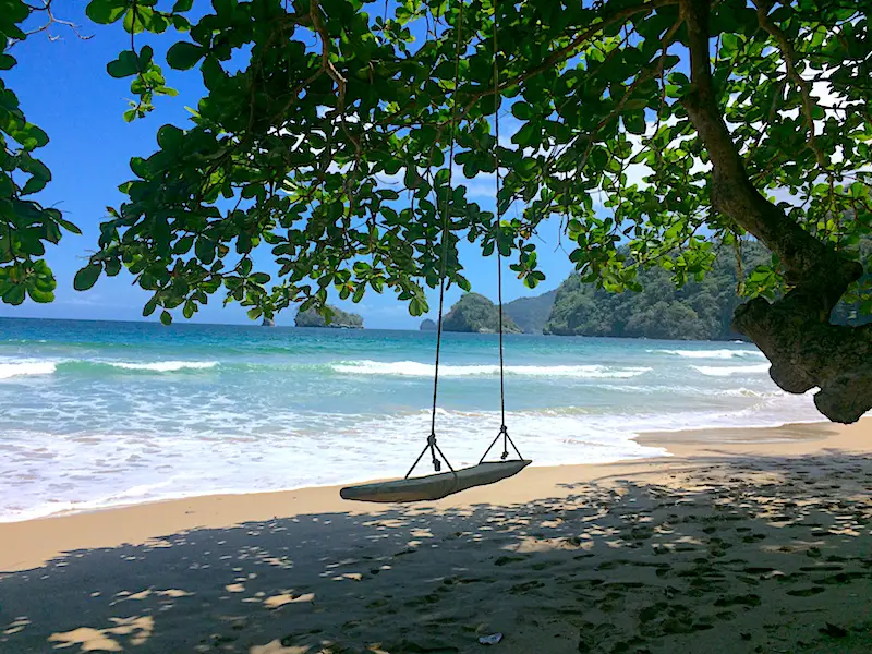 Driftwood swing hanging under a tree on a beautiful Caribbean beach, Paragrant Bay, Trinidad