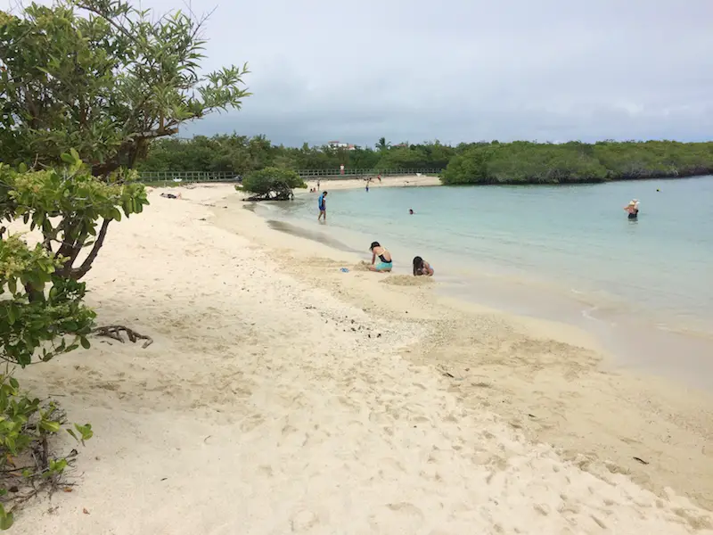 Kids playing at the water's edge on Playa las Alemanes in Galapagos.