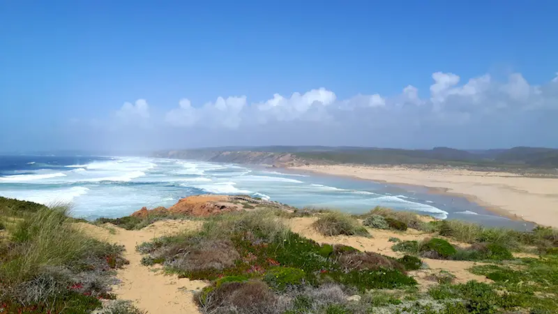 Looking over plant-covered dunes to a wide beach with huge waves in Bordeira Portugal.