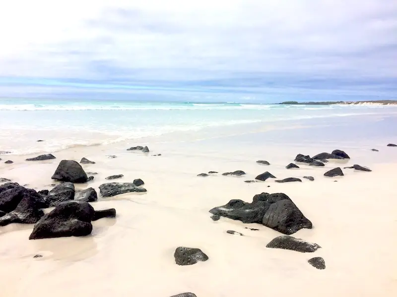 Black lava rocks dot the white sand at Tortuga Bay with turquoise water behind.