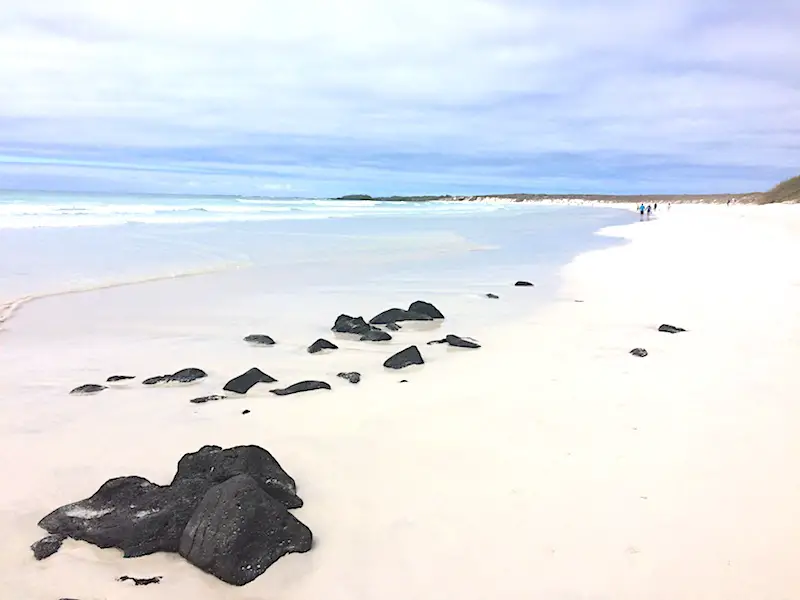 Black lava rocks on the white sand of Tortuga Bay, Santa Cruz, Galapagos.