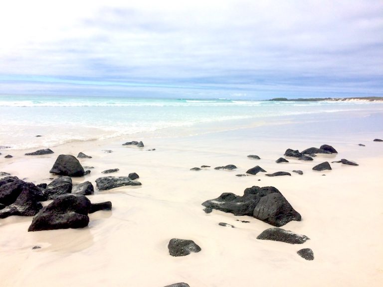 Tortuga Bay, Galapagos: The Best Beach on Santa Cruz