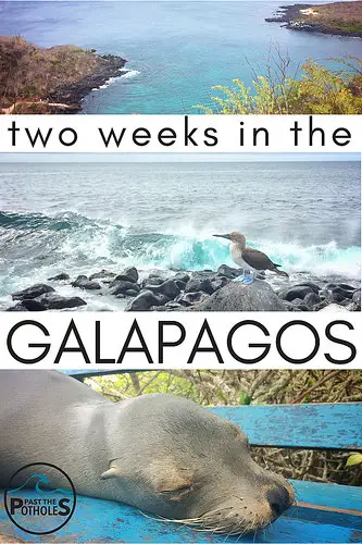 Pictures of Galapagos scenery and animals with text: two weeks in the Galapagos.