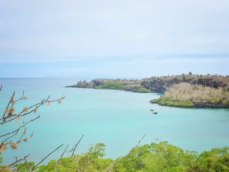 Looking across green plants to turquoise water and a peninsula at Las Grietas, Galapagos.