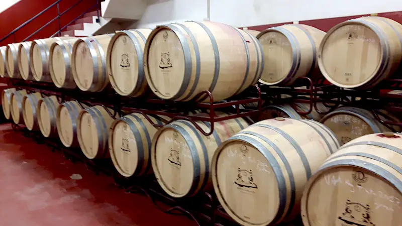 Rows of wine barrels at a Silves Vineyard, Portugal.