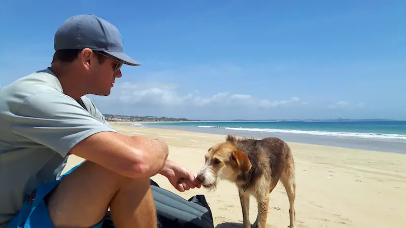 Man feeding a dog on the beach Meia Praia, Portugal