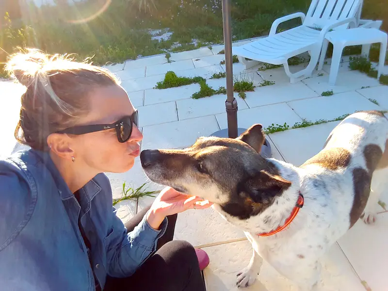 Dog giving a woman a kiss outside.