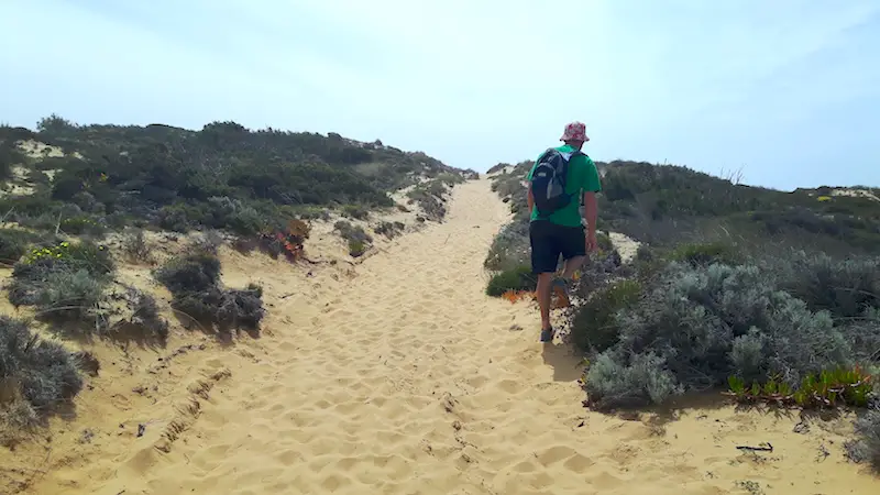 Man walking up the side of a trail through a sand dune in Alentejo region of Portugal.