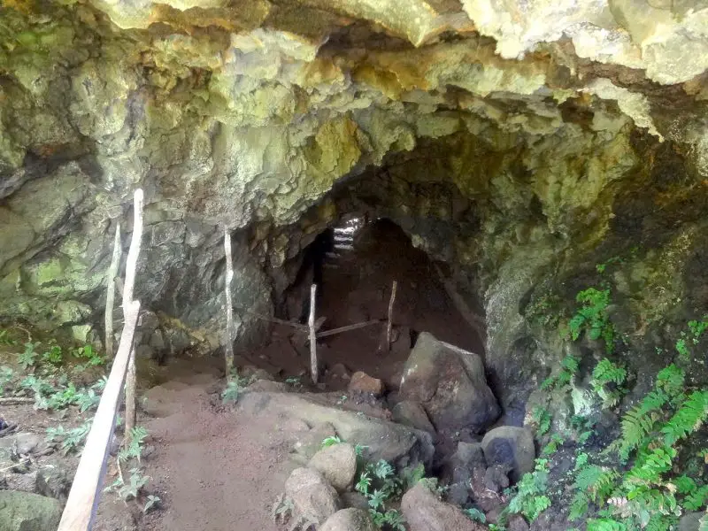 lava tunnel a El Chato Reserve Santa Cruz Highlands Galápagos
