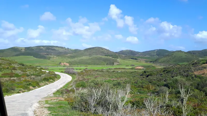 View while driving through Alentejo region, Portugal.