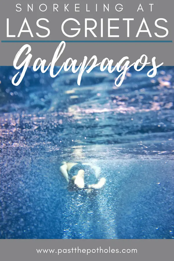 Man snorkelling with text: Snorkelling at Las Grietas, Galapagos.