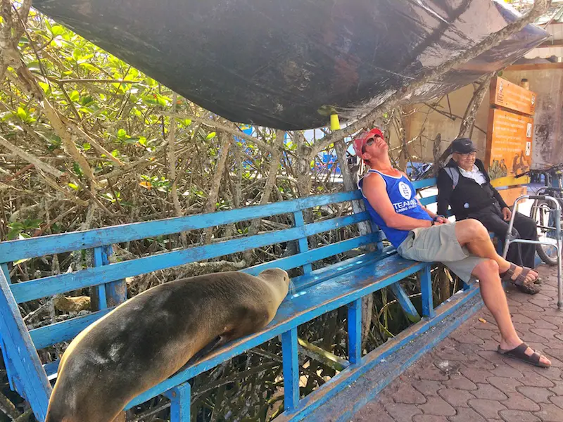 Two men and sea lion waiting on a blue bench in Santa Cruz, Galapagos