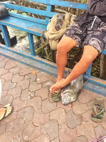 Man with a fish at his feet at Puerto Ayora Fish Market, Galapagos