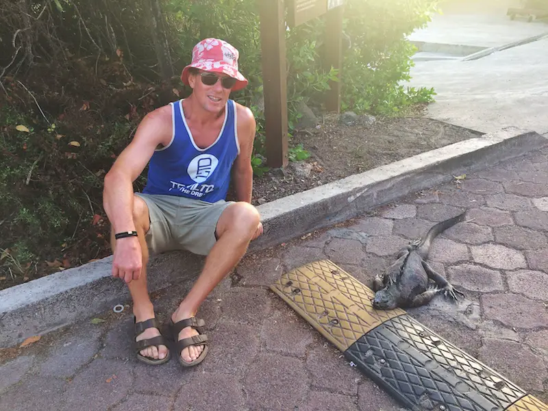 Man sitting on curb of a road with a marine iguana sleeping on speed bump in Galapagos.