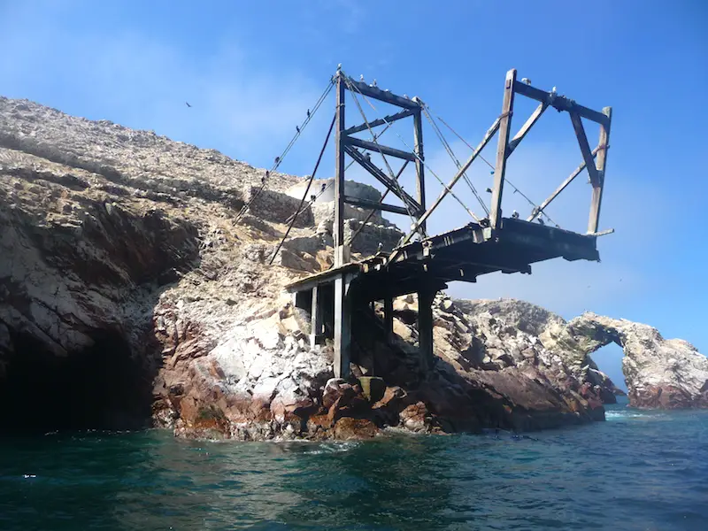 Old pier extending from rocky island covered in birds at Islas Ballestas, Peru