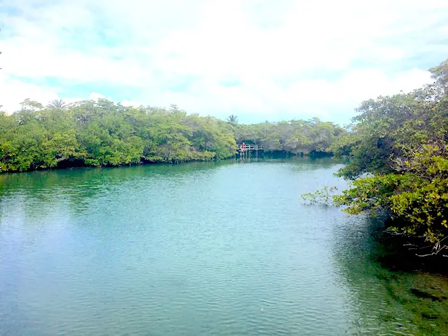 Laguna de las Ninfas: a hidden spot in Santa Cruz, Galapagos