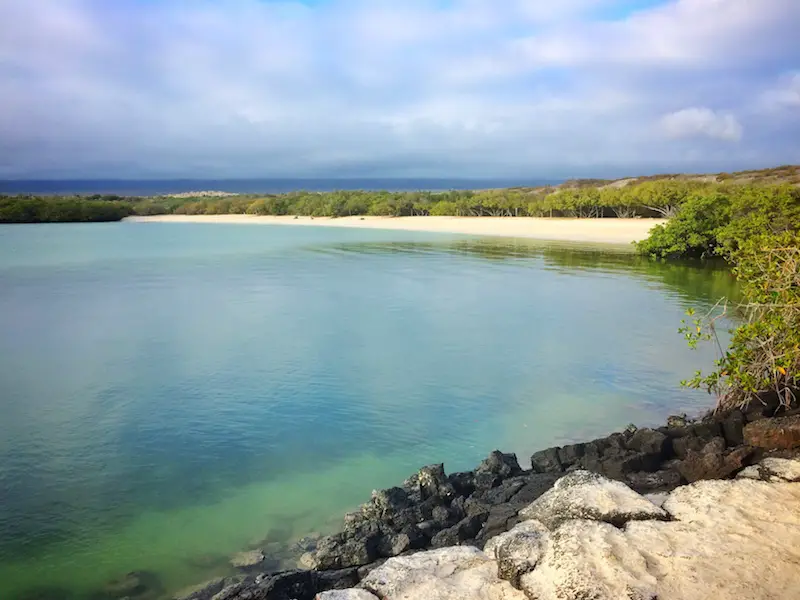 Looking across an emerald water bay to a long white beach backed by forest called Playa Mansa in Galapagos.