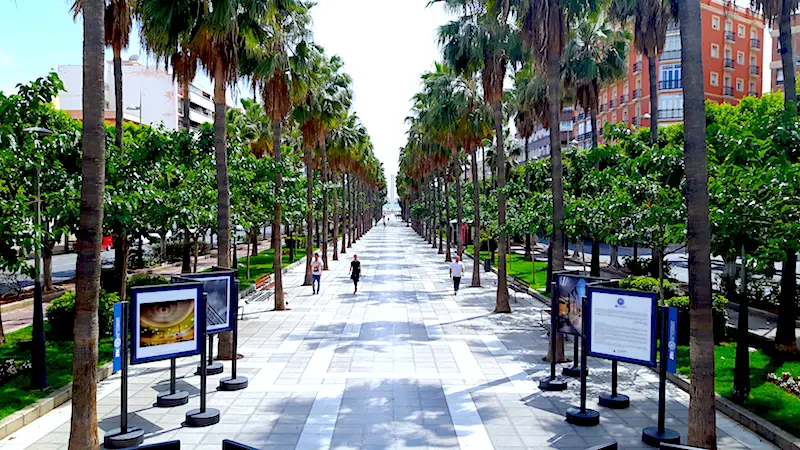 Long path lined with palm trees and art exhibits called the Ramblas in Almeria, Spain.