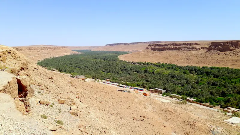 Bright green oasis winds its way through a valley between brown desert in Merzouga, Morocco.