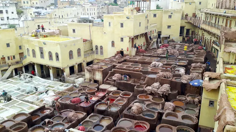 Looking down on Fes tannery with giant tubs filled with different dyes and leather hides everywhere. Morocco.