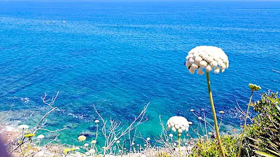 Mediterranean Sea Montgo Natural Park Spain