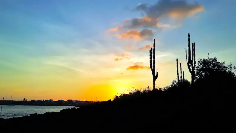 Beautiful sunset from Santa Cruz beach with cactus in Puerto Ayora, Galapagos Islands.