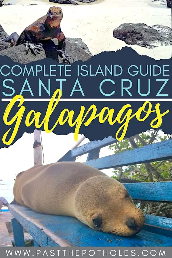 Marine iguana, sea lion and the text: Complete Island Guide, Santa Cruz, Galapagos.