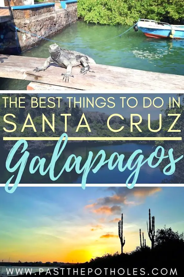 16 Amazing Things to do in Santa Cruz Galapagos and most are free