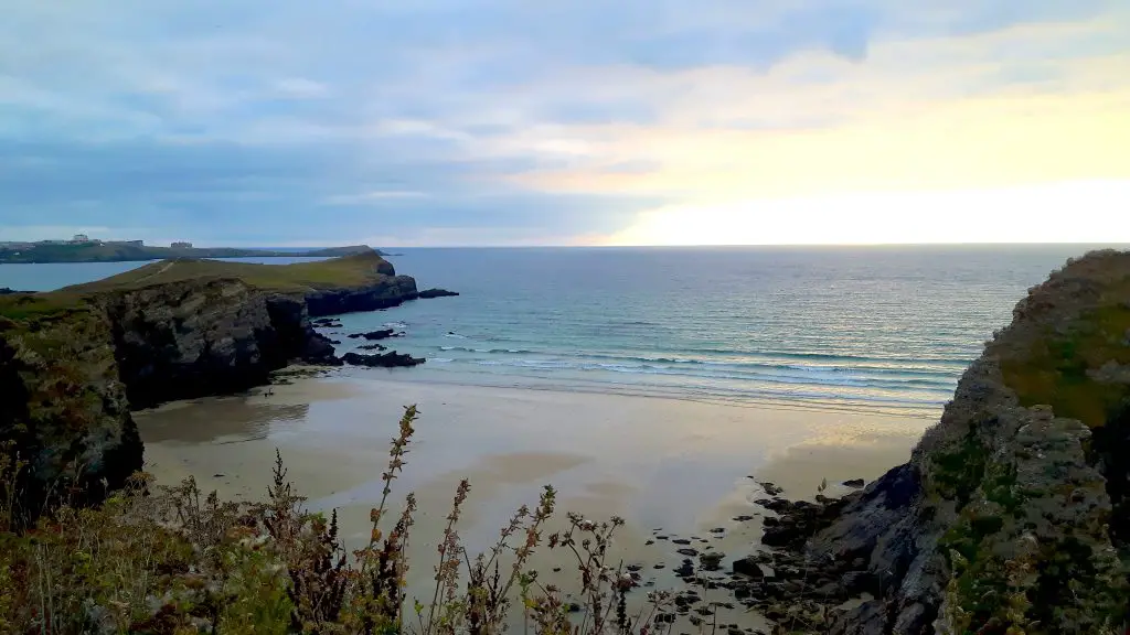 Golden beach surrounded by heather and cliffs at sunset at Whipsiderry Beach, Cornwall, UK