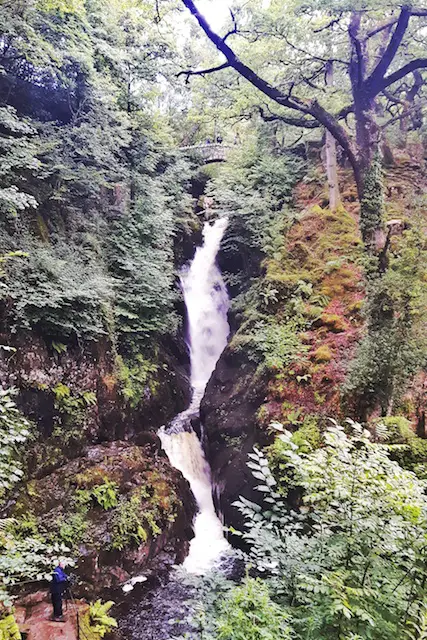 A long narrow waterfall through dense foliage with a stone bridge across the top called Aira Force in Ullswater, Lake District UK.