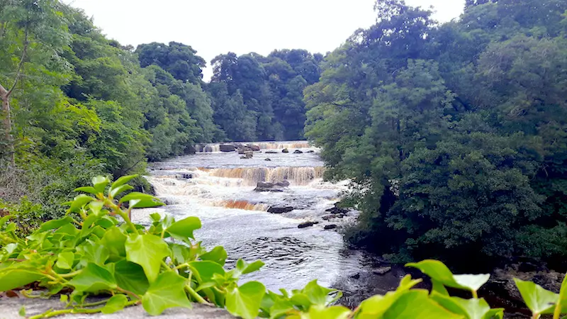 Series of small waterfalls in a wide river in Aysgarth, Yorkshire Dales, England.