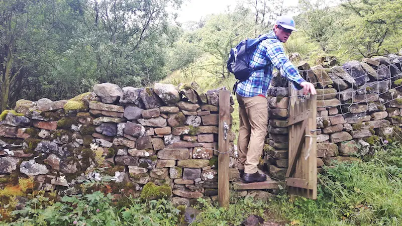 Man walking through a gate in a dry stone wall while hiking in Yorkshire Dales, England.