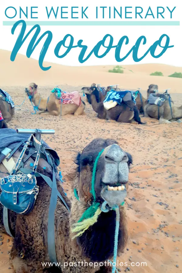 Camels in the desert with the text: One Week Itinerary Morocco.