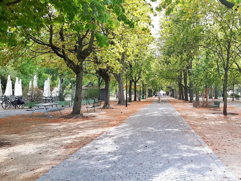 Path between rows of trees in a park in Geneva, Switzerland.