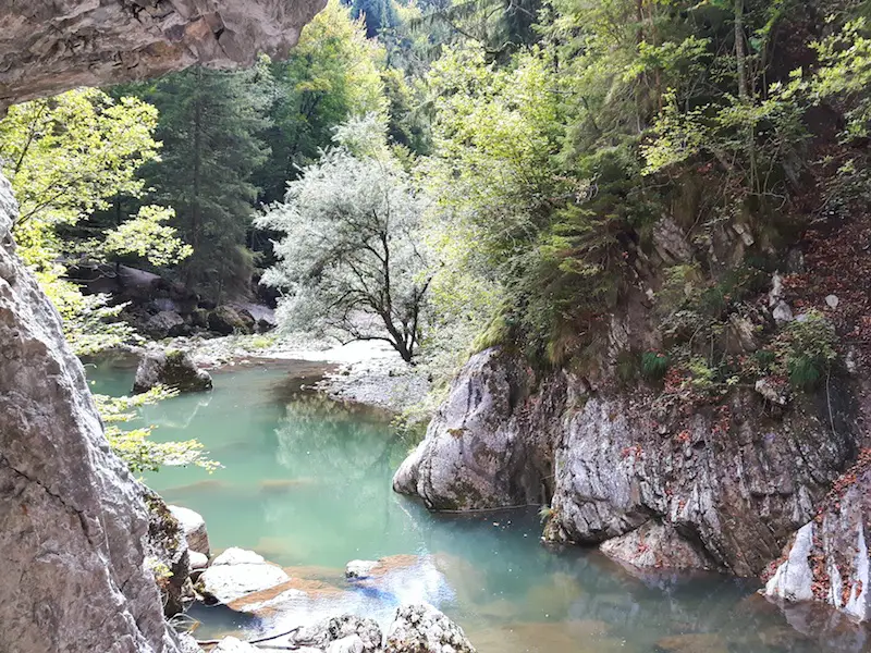 Blue water running through a gorge surrounded by trees near Gruyere, Switzerland.