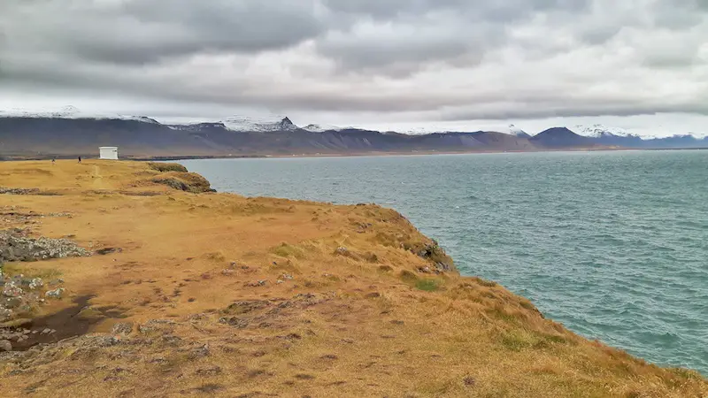 Yellow grass covered cliffs with a view to snow-capped mountains across the water in Arnarstapi, Iceland.