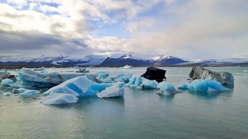 Icebergs floating through a lagoon to the sea with the glacier behind in Iceland.