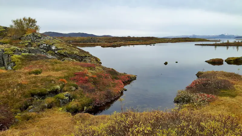 Moss covered landscape with waterways between at Silfra, Iceland.