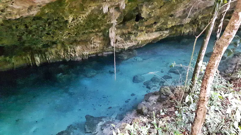 Clear turquoise water with cliff overhang in cenote near Tulum Mexico