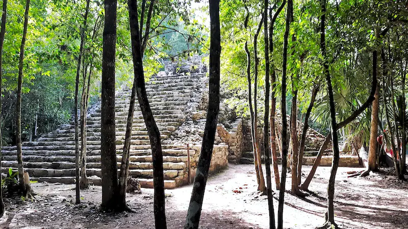 Small mayan pyramid surrounded by trees in Coba, Mexico.