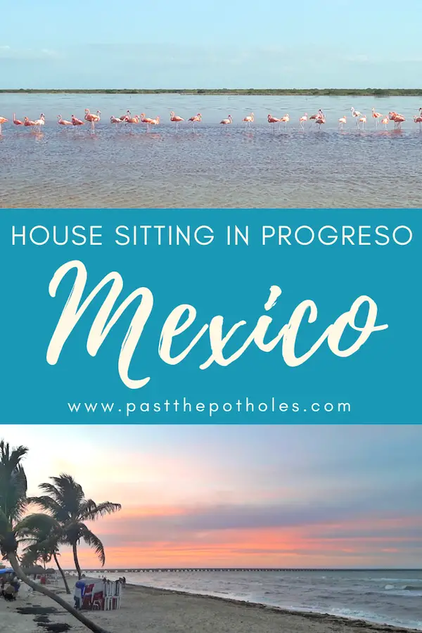 Beach sunset and flamingoes in a lagoon with the text: House sitting in Progreso, Mexico.