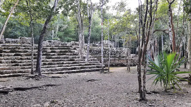 Small building with stone steps surrounded by trees in Coba ruins, Mexico.