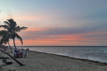 Red sunset behind palm trees on the beach with the world's longest pier in the background in Progreso, Mexico.