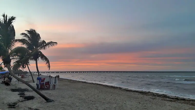 Red sunset behind palm trees on the beach with the world's longest pier in the background in Progreso, Mexico.