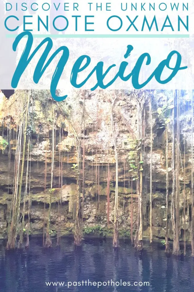 Roots hanging down a rock face into blue cenote with text: Discover the unknown Cenote Oxman, Mexico.