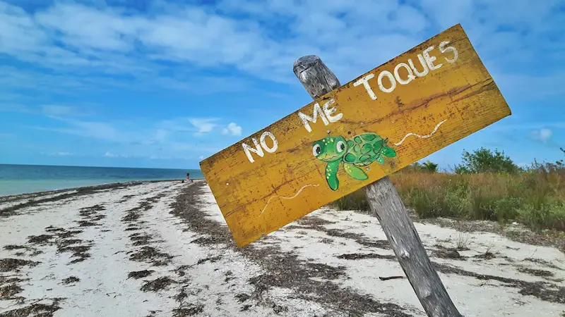 Sign to not touch turtles at Punta Cocos in Isla Holbox, Mexico.