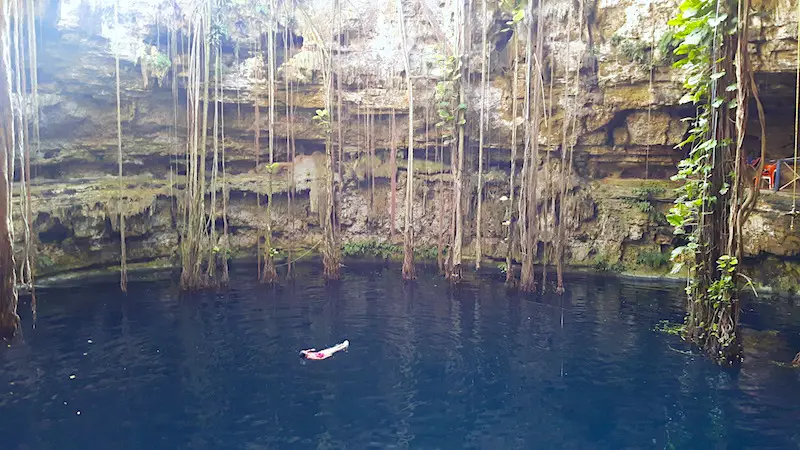 Woman floating in deep blue water of Cenote Oxman, Valladolid Mexico, surrounded by hanging roots.