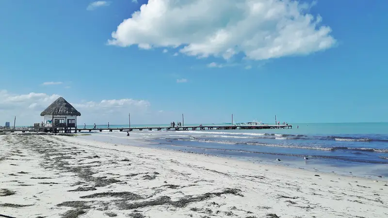 White sand and seaweed with the main pier in Isla Holbox, Mexico
