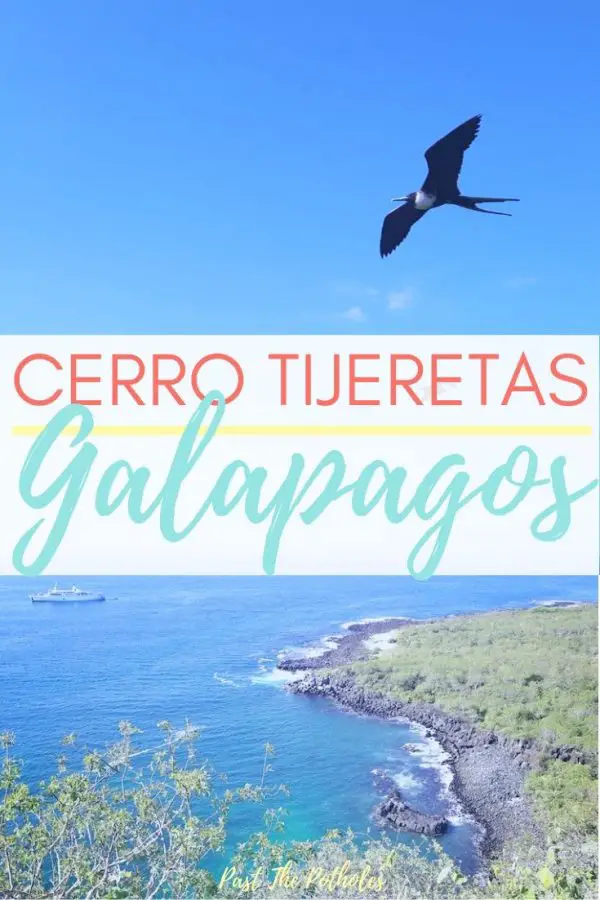 Frigate bird flying above the beautiful Darwin's Cove in San Cristobal, Galapagos