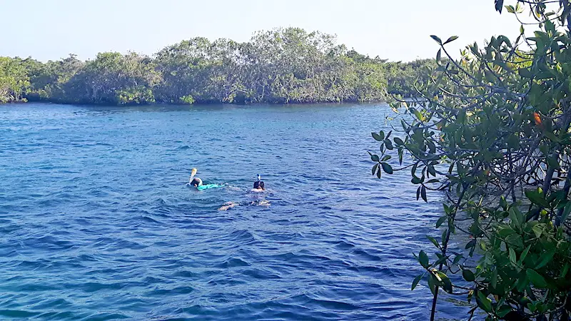 Concha de Perla snorkelling Isla Isabela Galapagos